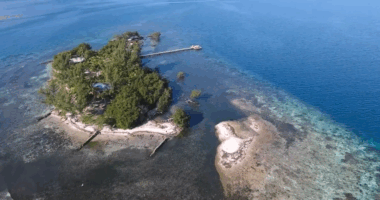 "Broke" Francis Ford Coppola Sells One Of His Belize Island Retreats to Stem $100+ Million "Megalopolis" Loss