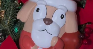 A Bunnings social media post announced their latest Bluey collaboration on a festive season range