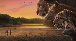 Kingdom, airing at 6.20pm on a Sunday, is an outstanding exception. Its standard of wildlife photography is superb, laying down a challenge to natural history film-makers across the world