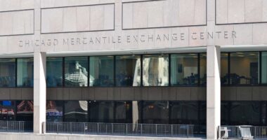 CME halts futures trading on stocks, currencies and other markets, citing data center cooling issue