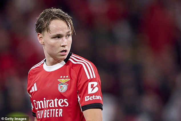 Benfica winger Andreas Schjelderup has revealed he's facing jail time for sharing an illegal video