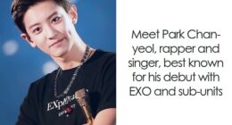 Chanyeol: Bio And Career Highlights