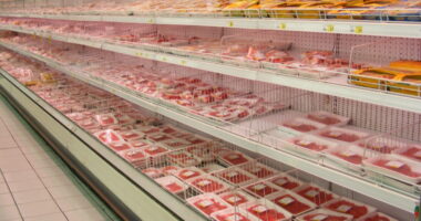 Cloned Meat Is Circulating in America’s Food Supply.