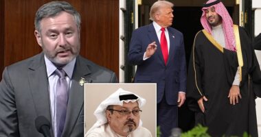 The brother of a key witness in Donald Trump 's impeachment stemming from a conversation with Ukrainian President Volodymyr Zelensky says there was another 'problematic' phone call that needs to see the light of day. Congressman Eugene Vindman is calling on the White House to release the transcript of a call Trump had with Saudi Crown Prince Mohammed bin Salman after the death of journalist Jamal Khashoggi in 2018. The Virginia Democrat detailed from the House floor on Tuesday that he was aware of the call due to his role on Trump's first-term National Security Council staff where he reviewed many of his calls with foreign leaders.