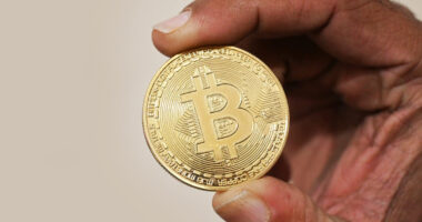 Crypto Crash Wipes Out $1 Trillion as AI Bubble Fears Escalate.