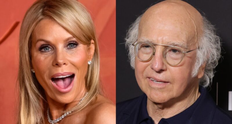 Curb Your Enthusiasm’s Cheryl Hines says ‘politics’ behind estrangement from Larry David