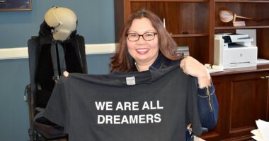 DHS Alleges Democrat Senator's Aide Impersonated Lawyer to Free Illegal Immigrant.