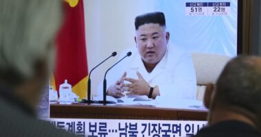 DOJ Busts North Korean IT Fraud: Five Plead Guilty – RedState