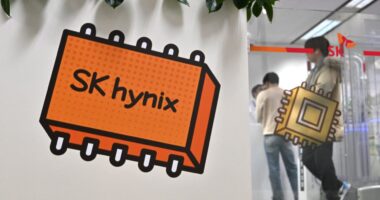 Dan Loeb bet on these international AI stocks, adding to winning Nvidia and TSMC plays