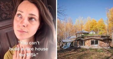 “Dangerous”: Woman’s Viral $15K Cabin In The Woods Sparks Heated Debate Over Safety Concerns