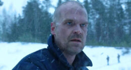 David Harbour's Best Roles Before and After Stranger Things