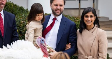 Second Lady Usha Vance was spotted wearing her wedding ring at the traditional turkey pardoning Thanksgiving ceremony at the White House on Tuesday. It comes after the vice president's wife was the subject of vicious online trolling after she chose not to wear the wedding band last Wednesday while visiting troops alongside First Lady Melania Trump at Camp Lejeune, North Carolina. Usha poured cold water on the speculation, with a spokesman stating that she 'is a mother of three young children who does a lot of dishes, gives lots of baths, and forgets her ring sometimes'.