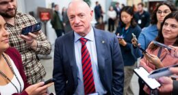 Arizona Democratic Senator Mark Kelly urged immigration officials to defy Trump's 'unlawful' orders in a recent interview