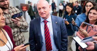 Arizona Democratic Senator Mark Kelly urged immigration officials to defy Trump's 'unlawful' orders in a recent interview