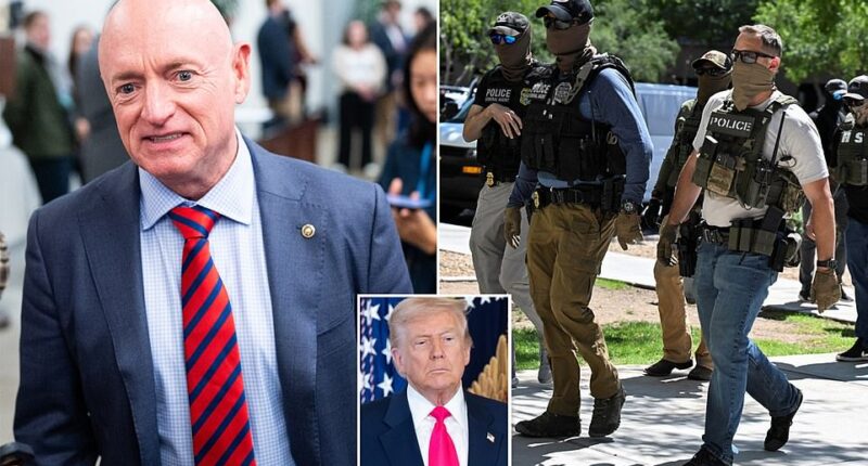 Democrat Senator Mark Kelly is urging federal immigration agents to 'stand up' to President Donald Trump 's deportation orders as his administration is targeting new crackdown efforts. 'You can't be told to violate people's constitutional rights. People have to stand up and say, no, I'm not going to do that,' Kelly told Deseret News of federal immigration agents. 'I'd like to see them wearing an ID, not wearing masks and telling Stephen Miller, or Kristi Noem that we will follow the law and there are limits to what we will do. And we're not violating people's constitutional rights,' he added.