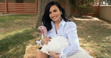 Demi Lovato first sparked controversy on the annual holiday back in 2020 after an image was shared of her posing with a 'pet' turkey at an animal sanctuary in California