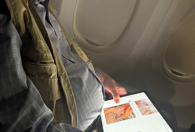 Pictures on social media revealed that congressman Brad Sherman had been caught looking 'at porn' mid-flight