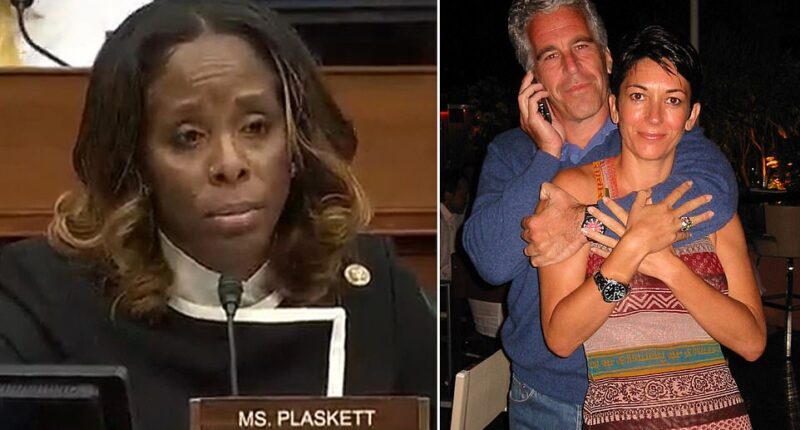 A Democrat who was caught texting Jeffrey Epstein during a hearing involving Donald Trump has claimed she had no idea that he was a sexual offender. House Delegate Stacey Plaskett (D-Virgin Islands) exchanged text messages with Epstein in 2018 while former Trump attorney Michael Cohen testified against the president at a committee hearing. Plaskett sought advice and guidance from Epstein about questions to ask Cohen while the committee hearing was live.