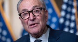 Democrats Are Hating on Schumer, But Are They Stuck With Him as Leader for Years? – HotAir