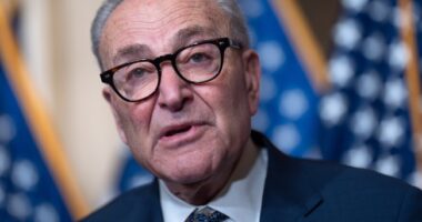 Democrats Are Hating on Schumer, But Are They Stuck With Him as Leader for Years? – HotAir