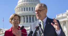 Democrats Are in Such Disarray, They're Looking for 'Trump the Dictator' to Take Action – RedState