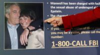 Democrats Hilariously Do Themselves in With Latest Epstein Email 'Revelation' – RedState