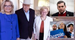 Some Republicans joined liberals in expressing little sorrow over the death of former Vice President Dick Cheney. Cheney, one of the most polarizing political figures in modern US history, died on Monday night at the age of 84 due to complications from pneumonia and cardiac and vascular disease. The former vice president was the architect of the Iraq war following the 9/11 terrorist attacks under the George Bush administration.