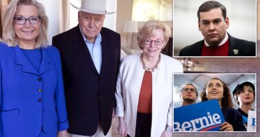 Some Republicans joined liberals in expressing little sorrow over the death of former Vice President Dick Cheney. Cheney, one of the most polarizing political figures in modern US history, died on Monday night at the age of 84 due to complications from pneumonia and cardiac and vascular disease. The former vice president was the architect of the Iraq war following the 9/11 terrorist attacks under the George Bush administration.