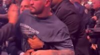 Dillon Danis was involved in a ferocious cageside brawl at UFC 322 at Madison Square Garden