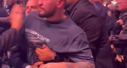 Dillon Danis was involved in a ferocious cageside brawl at UFC 322 at Madison Square Garden
