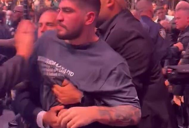Dillon Danis was involved in a ferocious cageside brawl at UFC 322 at Madison Square Garden