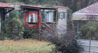 A Mississippi mother spotted one of the escaped monkeys in her backyard on Sunday