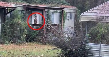 A Mississippi mother spotted one of the escaped monkeys in her backyard on Sunday