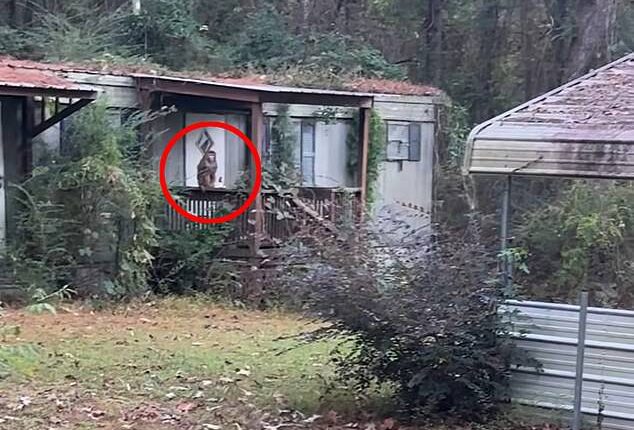 A Mississippi mother spotted one of the escaped monkeys in her backyard on Sunday