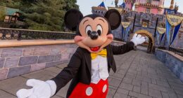 Disney has unveiled its plans for a $5 million new park set to open in California next year (stock image)