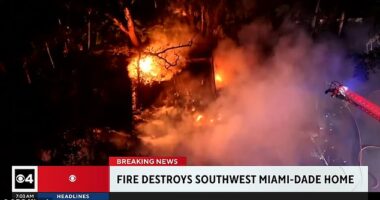 Footage shows a huge fire burning down the Miami house of Heat coach, Erik Spoelstra