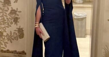 Bettina Anderson is pictured in a smart navy gown as she prepared to attend Tuesday's White House gala in honor of Saudi Arabia's Crown Prince Mohammed bin Salman