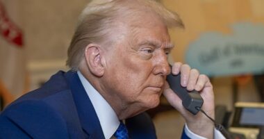 Donald Trump's secret phone call reveals drastic change to Ukraine peace plan after Zelensky was given strict ultimatum... and Putin is set to be furious