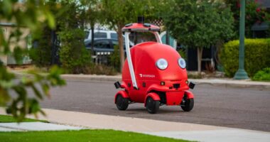 DoorDash expects bigger investments next year and a little less from Deliveroo; stock sinks