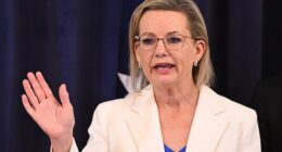 Opposition Leader Sussan Ley (pictured) will prioritise affordability over bringing down emissions