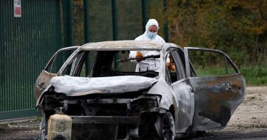 A driver screaming 'Allahu Akbar' ploughed into a crowd of pedestrians on a French holiday island this morning, leaving at least ten people injured. After the ramming, he tried to set fire to his vehicle (pictured), which contained gas canisters, before he was tasered by police and arrested