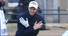 Andy Murray cut a jubilant figure on social media on Tuesday after Scotland's qualification