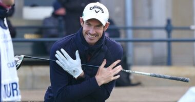 Andy Murray cut a jubilant figure on social media on Tuesday after Scotland's qualification