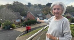 Christine Burman, 83, (pictured) has been unable to access WiFi or make calls via a landline after a nearby telegraph pole was flattened by a bin lorry