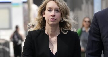 The jailed Theranos founder, Elizabeth Holmes, is finding allies in President Donald Trump's coalition, as she appears to be angling for a pardon