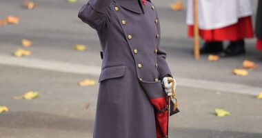 King Charles stared solemnly as he saluted in front of the Cenotaph to mark Remembrance Day