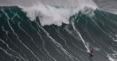 Even Nvidia can’t help a stock market that’s in real trouble