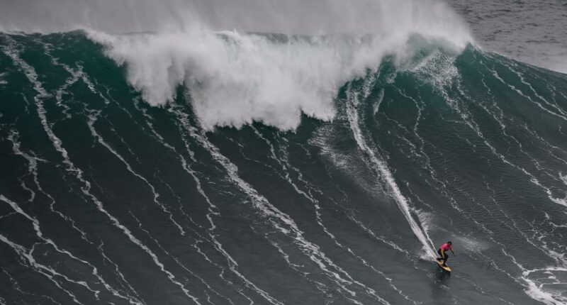 Even Nvidia can’t help a stock market that’s in real trouble