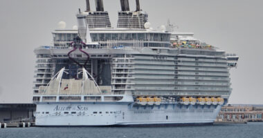 Family Sues Royal Caribbean After Intoxicated Mother Falls Overboard, Dies