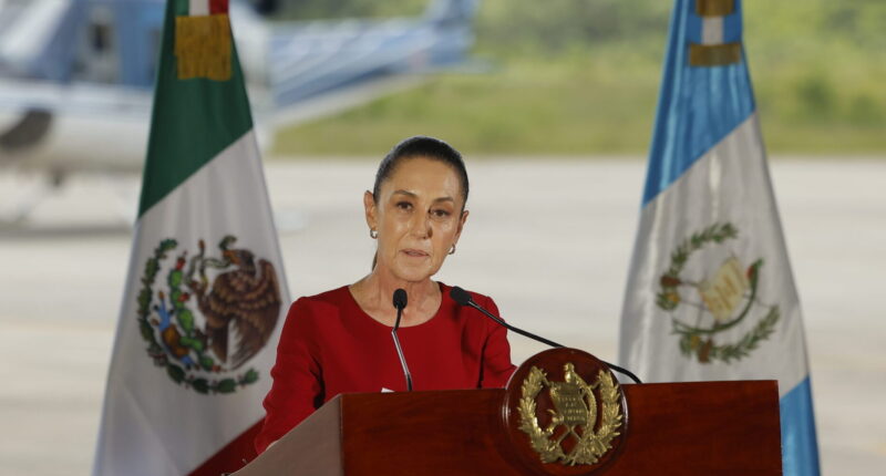 Farmers, Truckers Blockade Roads, Rock Mexican Government Over Lack of Action Against Cartel Violence.